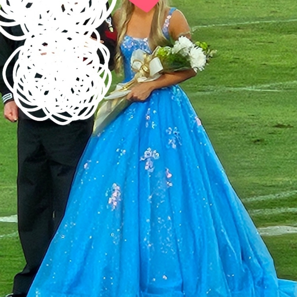 Stunning Blue Pageant or Prom Dress - Picture 3 of 5